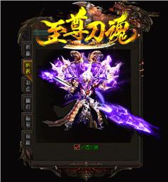 虎狮天龙八部私服